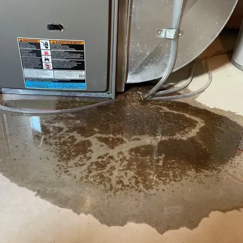 Appliance Leak Cleanup in Camden County, NC